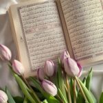 زَادُ القُــلُـــــــوب