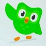 Duolingo English Test دولينقو